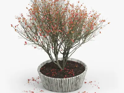 Autumn 2 tree in pot 3D model