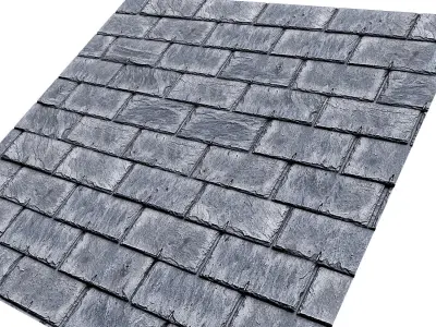 Classic roof Texture