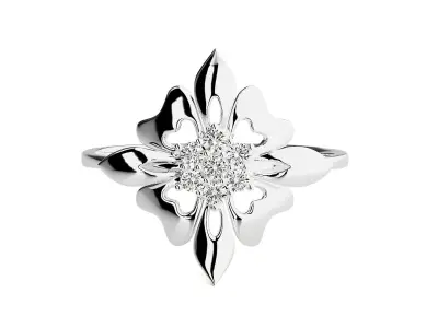 Ring - 67 3D print model