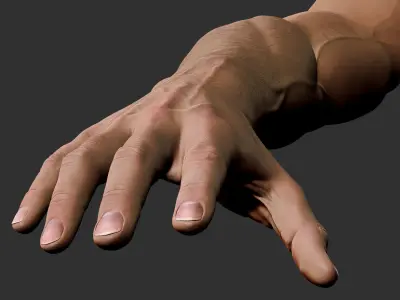  Realistic Male Arm 