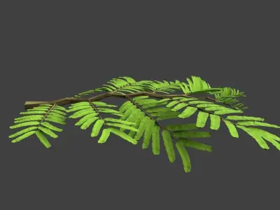 Leaf Model Low-poly 3D model