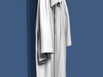 Shirt on wardrobe door 3D model