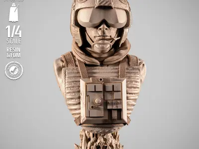 STAR WARS Luke Pilot Portrait Bust  3D print model