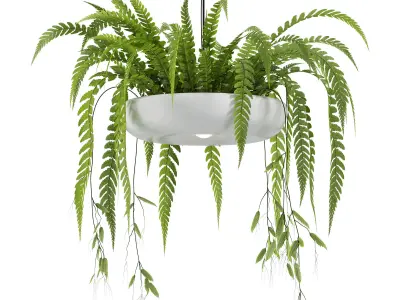 Indrid Decorative Plants White Light By Lightmakers Low-poly 3D model