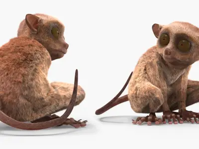  Alert Sitting Tarsier Fur 