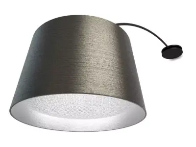 Twiggy Ceiling Lamp Foscarini  3D model