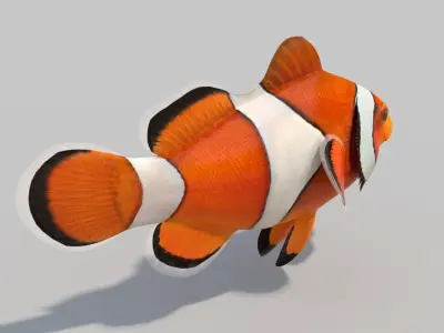  Clownfish (Animated) 