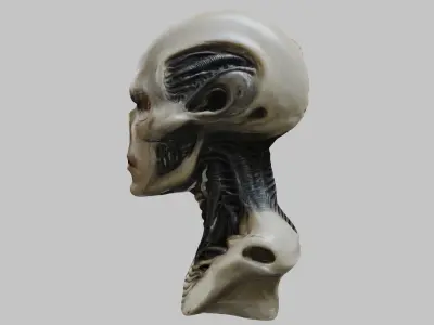 Portrait of a man HR Giger Style Human Head Bust 2 Low-poly 3D model