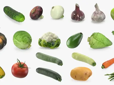  Vegetables Collection 