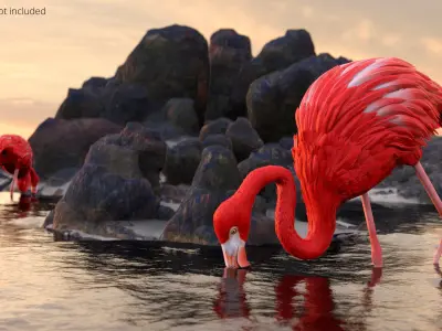  Exotic Bird Red Flamingo Rigged for Cinema 4D 