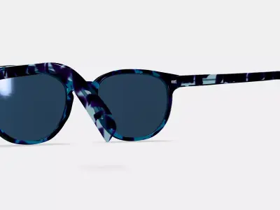 Sydney Sunglasses in Riverbed Tortoise 3D model