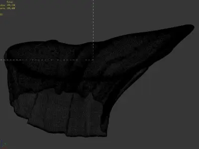 Tongtianhe - ice stone 06 3D model