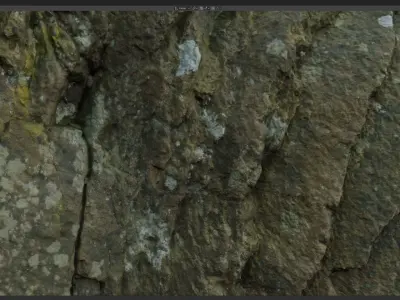 Stone Rose Raw 3D Scan 3D model