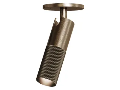 Venicem Beak Celing Light 3D model