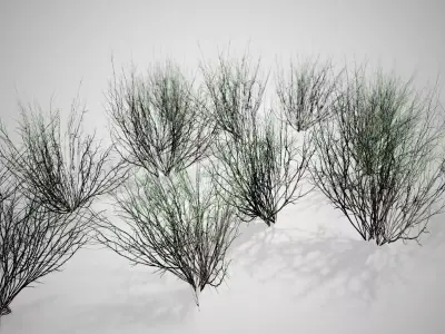 Broom Snakeweed Cluster grass Low-poly 3D model