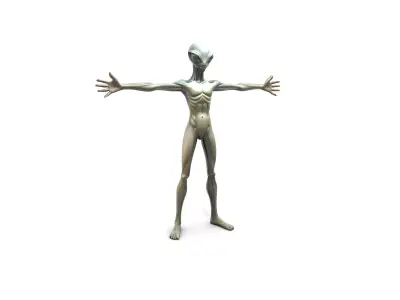 Chameleon Spy Slim Color Changing Character Low-poly 3D model