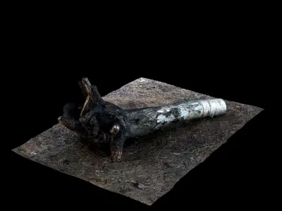 stump 002 Low-poly 3D model