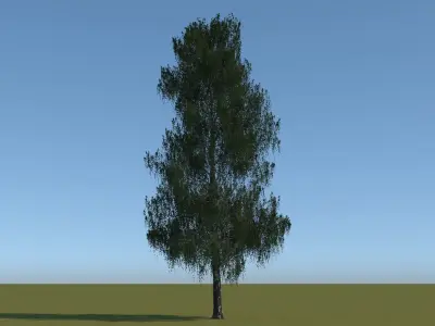 18 Trees Free low-poly 3D model