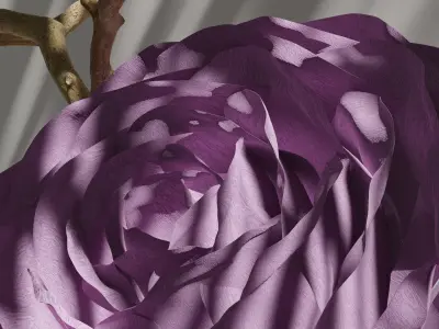 Blooming Rose Animation 3D model