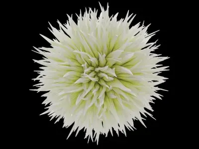 Fluffy ball 3D model