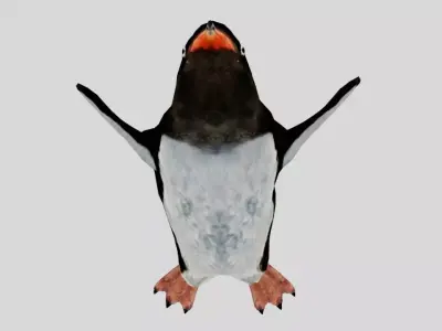 Penguin Low-poly 3D model 5