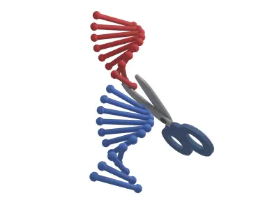 Genome Editing Icon v1 001 Low-poly 3D model