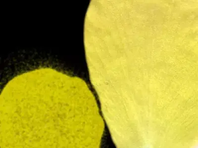 Europe Villa 3D Model 3ds Max and VRay Architectural house Low-poly 3D model