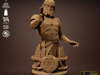 STAR WARS Captain Enoch Bust Tested for 3D printing 3D print model