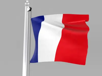 Flag of France 3D model
