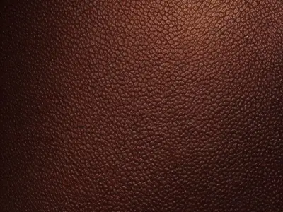Textures Leather Texture purchase