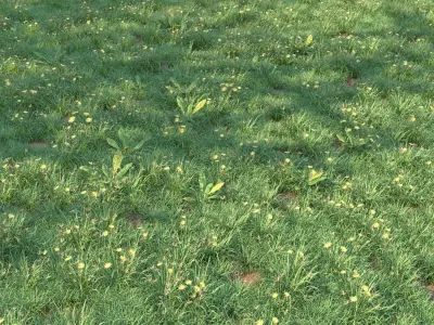 4 grass for landscape with corona scatter 3D model