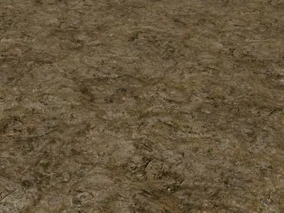 Forest Floor 01 Photoscanned Seamless Texture Texture