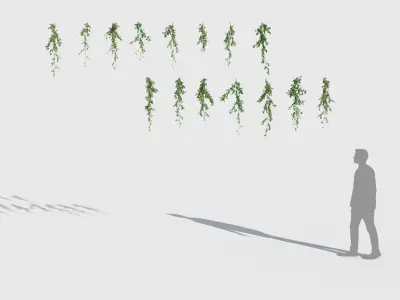  Climbing Plants Collection (+GrowFX) 2 