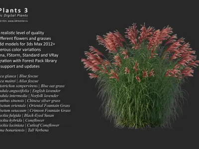 XfrogPlants HDPlants 3 3D model