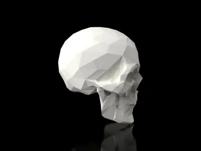 Skull Low Poligonal Low-poly 3D model
