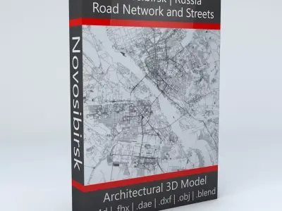 Novosibirsk Road Network and Streets 3D model