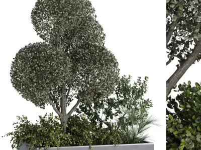 green plant in box exterior set 530 3D model