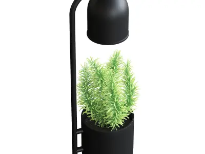 Desk Lamp with a Plant 3D model