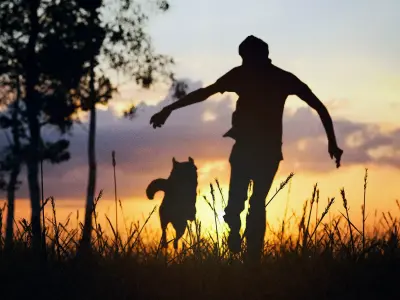 Best Friend 3D model