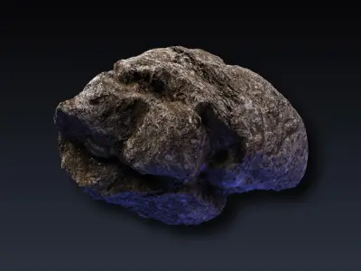 Rock Collection 1 meteorite 3D model