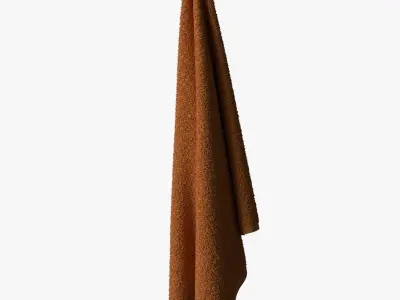Towel tea - burnt orange 3D model