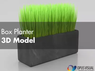 Box Planter 3D model