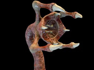 Meat Clawed Worm Low-poly 3D model