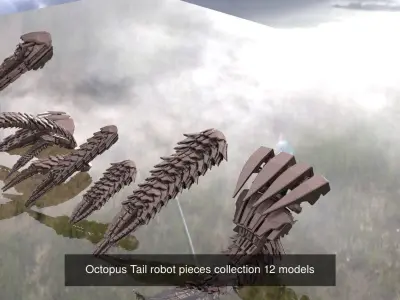 Giant squid collection 3D Model Pack