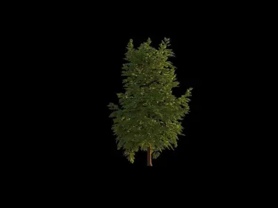 Pack x 10 Miscellaneous Trees 3D model