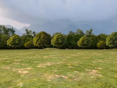 Trees Background Low-poly 3D model