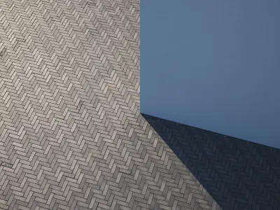 Black brick walk Texture