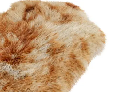 Animal skin 01 3D model