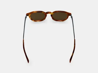 Rustin Sunglasses in Root Beer with Brushed Ink 3D model