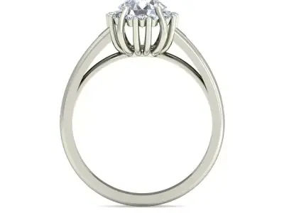 Women Ring  Render 3dm STL OBJ FBX Details 3D print model 255